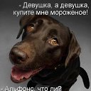  ,  -  11  2015    
