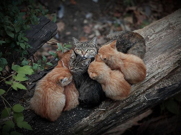 ★ ������������� ��� ������� ★ - 15 ������ 2015 � 22:28