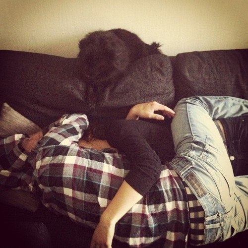    ,     .  ,   ,     ...