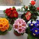 ���� ��������, ��������, 73 ���� - ��������� 26 ������� 2015 � ������ ��������-��������