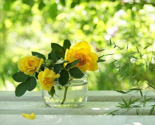 ||  ... || - 5  2015  17:31 - 2