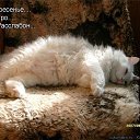 ���� ����, ������, 45 ��� - ��������� 21 ������ 2015 � ������ ���� ����������