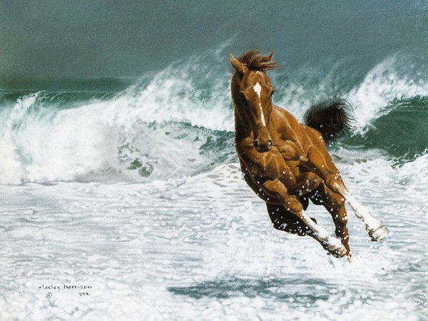   .  (Lesley Harrison)   .     ... - 3