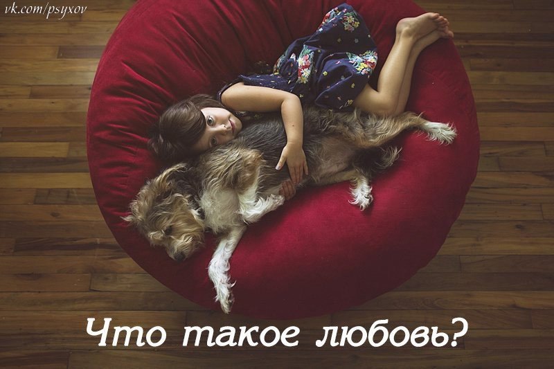 Что такое любовь? Группа американских исследователей провела опрос среди детей возраста от 4 до 8 ...