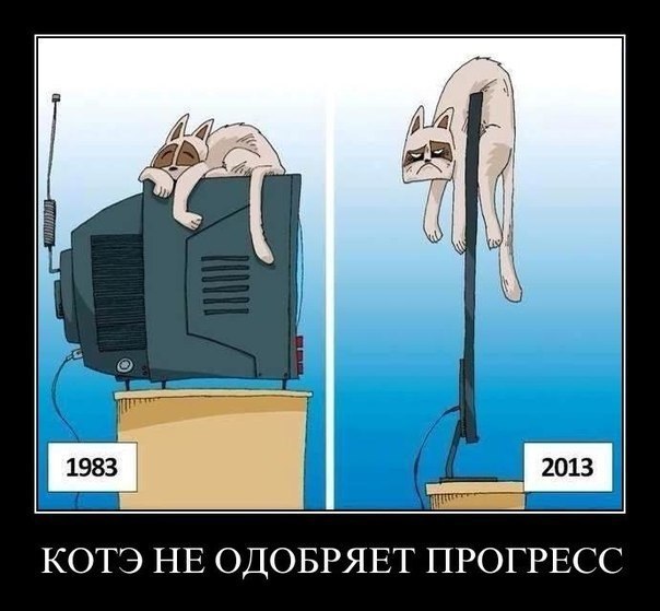   | , ,  - 16  2015  05:06