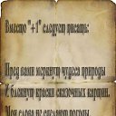   78 .,  -  19  2015    