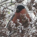 ���� ��������, ������, 68 ��� - ��������� 27 ������� 2014 � ������ ���� ����������