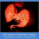 ���� ���������, ���������, 53 ���� - ��������� 3 ������ 2015 � ������ ������ ��������