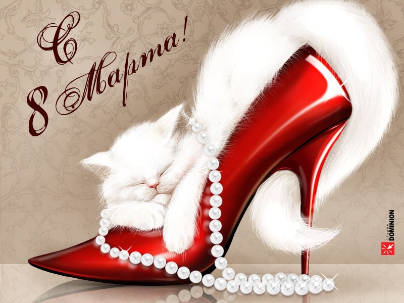 8   .   ,      ,   !