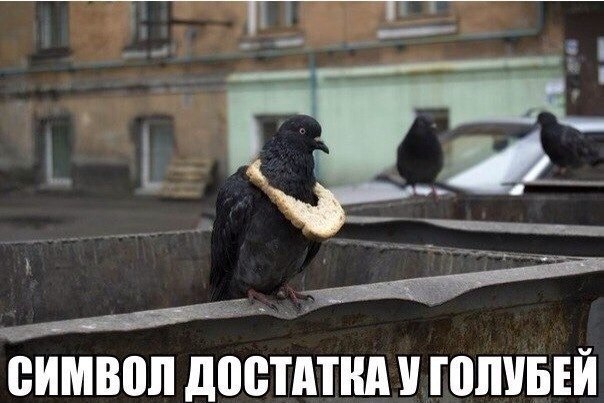 <a href=