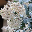  , , 60  -  1  2015   ,29.03.15.  