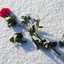 ���� ���������, ������, 67 ��� - ��������� 18 ������ 2015 � ������ ���� ����������