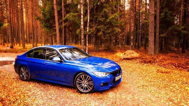 3 Series F30 - 2