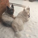 ���� ����, ������, 58 ��� - ��������� 18 ������ 2015 � ������ ���� ����������