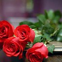 ���� ����, �����, 65 ��� - ��������� 14 ������� 2015 � ������ �������� ��������