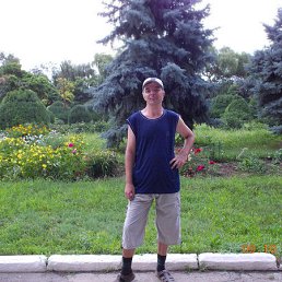 �����, ���������, 54 ����