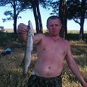���� ��������, ������, 51 ��� - ��������� 14 ������� 2014 � ������ ���� ����������