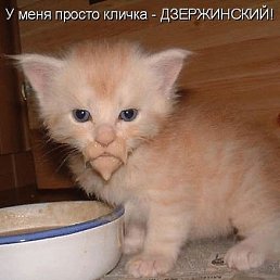  , , 47 