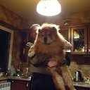 ���� ���, ����������, 44 ���� - ��������� 18 ����� 2015 � ������ ���� ����������