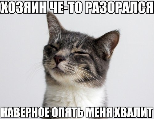       - 22  2014  11:35