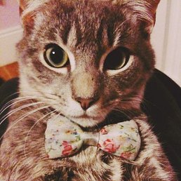 ���, ������, 35 ���