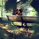  Mariposa, , 43  -  6  2015    