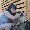 ���� ���������, �������� - ��������� 20 ������ 2015 � ������ ���� ����������