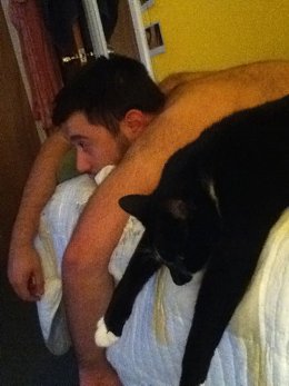 �����������