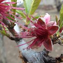 ���� �������, �����, 75 ��� - ��������� 12 ������ 2015 � ������ ����