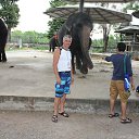 ���� ������, ��������, 54 ���� - ��������� 14 ����� 2015 � ������ ���� ����������