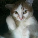 ���� ��������, ������, 75 ��� - ��������� 26 ������� 2015 � ������ ���� ����������