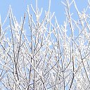 ���� Valka, ������, 63 ���� - ��������� 30 ������ 2015 � ������ ���� ����������