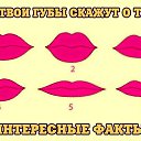 ���� ��������, ����������� - ��������� 1 ������ 2015 � ������ ������ ��������