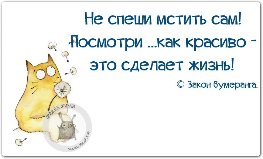 Сам посмотри. Не спеши мстить посмотри как красиво это сделает жизнь. Правда жизни юмор мотивация сарказм. Не спеши мстить посмотри как красиво. Не спеши мстить сам.