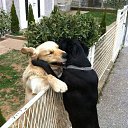 ���� �� ��� �� ������� ���� ����������