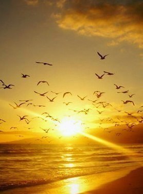 Психология отношений - 22 марта 2015 в 19:32 - 6