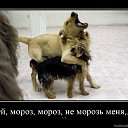 ���� �������, ������ - ��������� 15 ����� 2015 � ������ ��������������