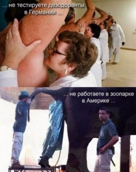 ����� �������, ��� � ���� ���� ���� ������������� ������. - 3