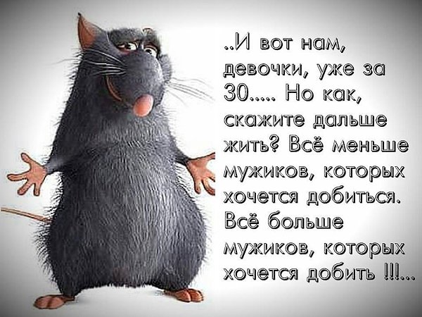   - 16  2015  19:06