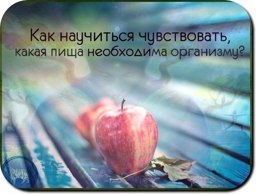 Как научиться чувствовать, какая пища необходима организму? Есть две разновидности еды. Первая — это ...