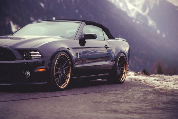 Ford Mustang Shelby GT500 - 4