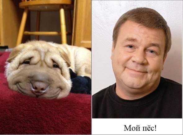 Мемы про прогулки. Мой пес. Я и моя собака. Скип лэки. Я и мой пес.