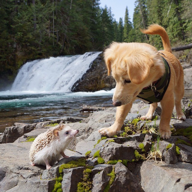 ������ - 1 ������ 2015 � 06:16