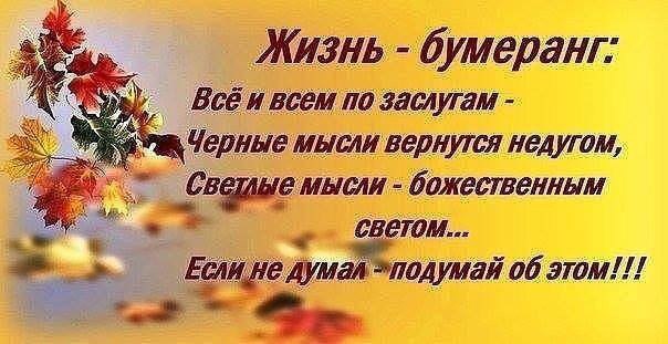   - 6  2015  15:01