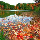 ���� ����, ������ - ��������� 6 ������� 2015 � ������ ���� ����������