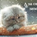 ���� Lidia, ������������ - ��������� 6 ������� 2015 � ������ �������� ��������