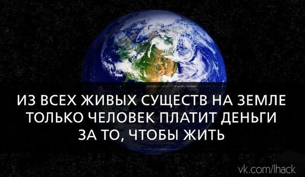  - 19  2015  04:03