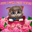 ���� ���������, ������ �������� - ��������� 7 ����� 2015 � ������ �������� ��������