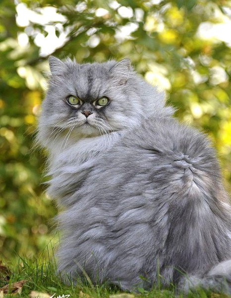 ||  ... || - 6  2015  17:27 - 4