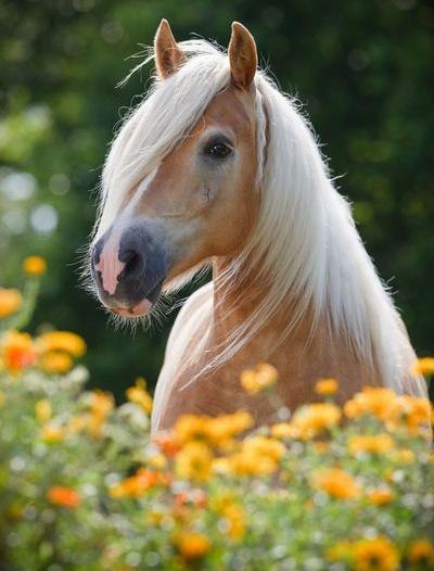 |В| Счастье есть... |В| - 6 апреля 2015 в 17:27 - 2